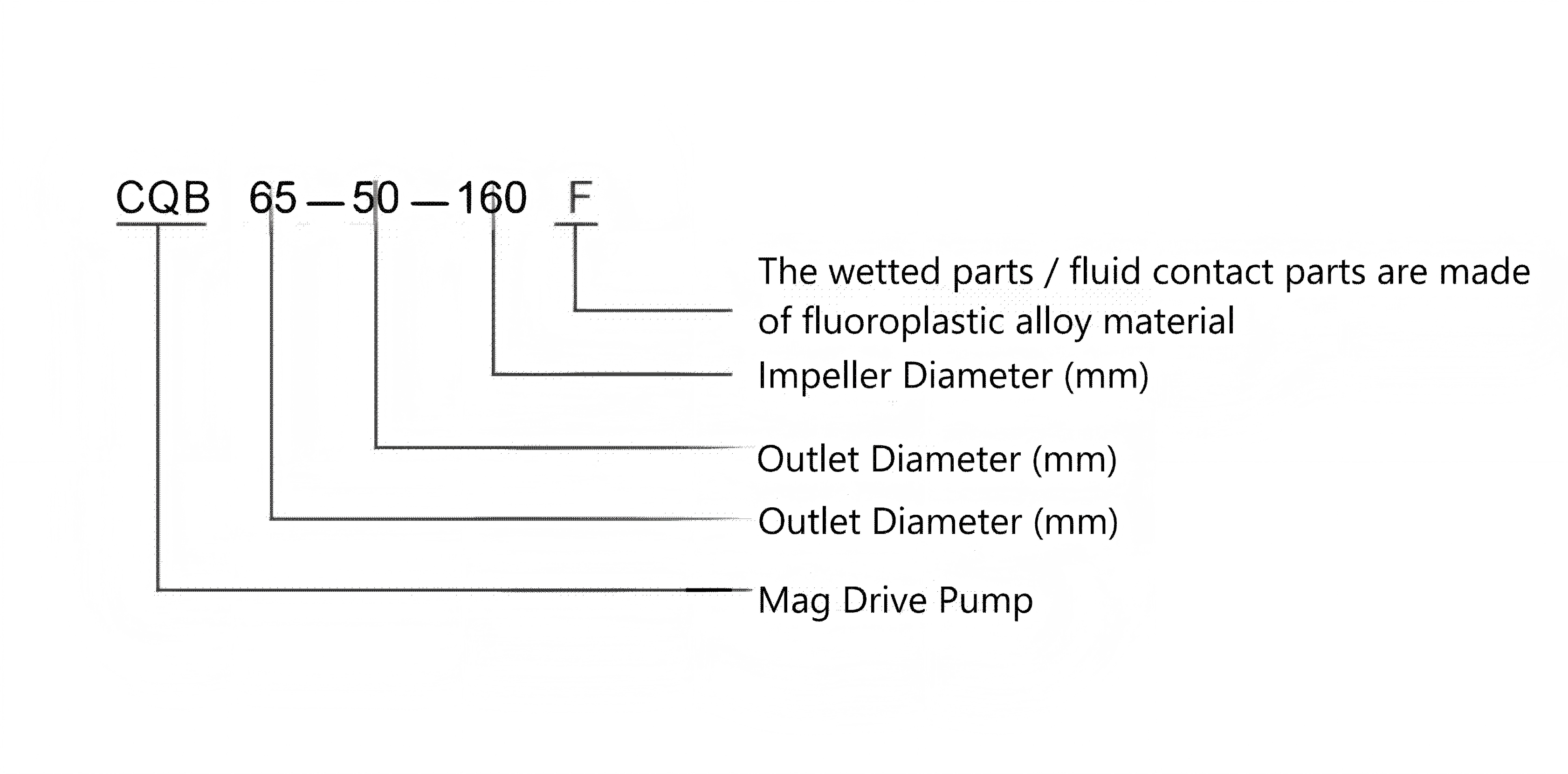 Model Description