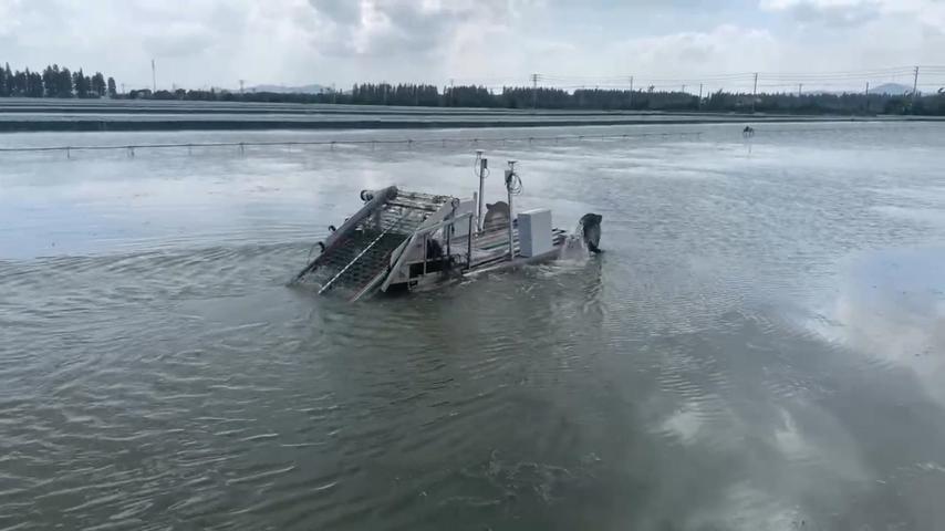 上海小型割草船哪家好 常州慧而达智能供应