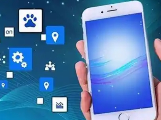 浦東新區(qū)管理APP開發(fā)要求
