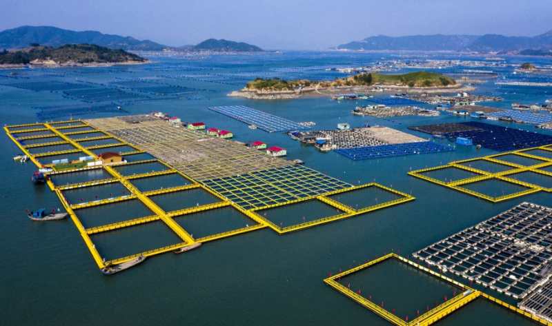 青海休闲平台水上平台 广东南风王科技供应