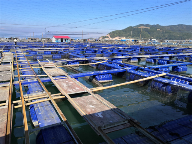 青海海上渔排厂,渔排