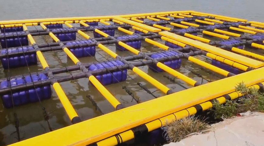 天津塑料漁排網(wǎng)箱 廣東南風(fēng)王科技供應(yīng);