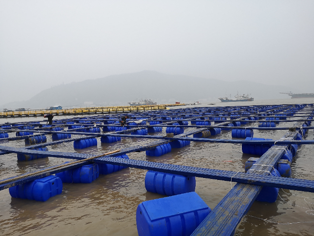江苏水上码头浮筒一平米多少钱,浮筒