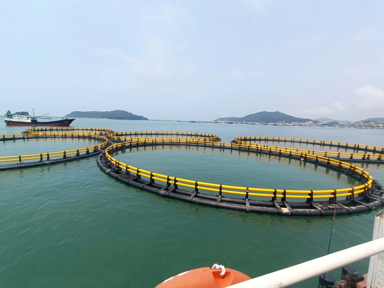 C7f09ef7c615890afc72f1f82743fa26