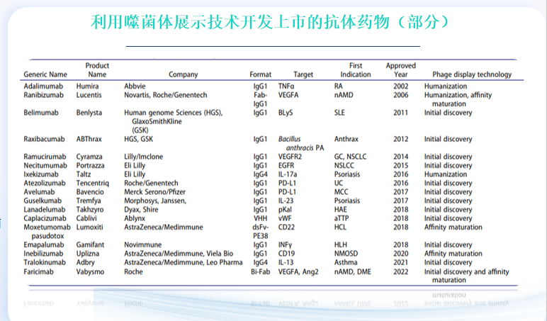 重慶抗體發現技術科普,抗體發現