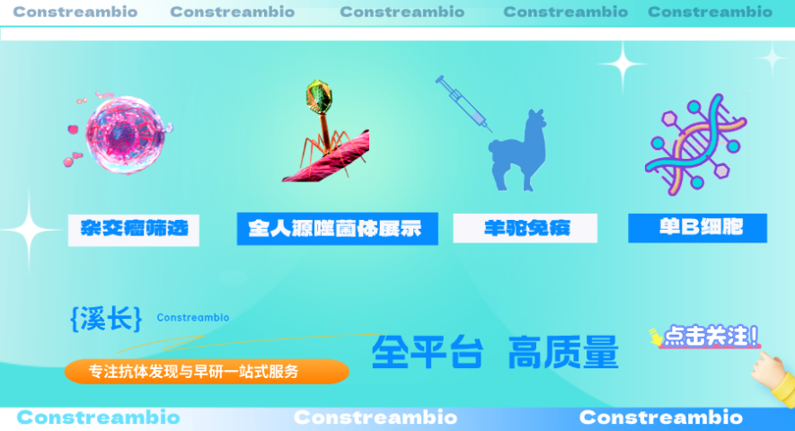 內(nèi)蒙古抗體發(fā)現(xiàn)研發(fā)企業(yè)