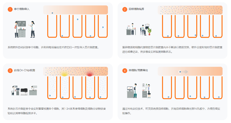 重慶抗體發現技術科普