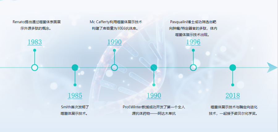 福建抗體發現技術前沿,抗體發現