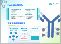 全人源Fab文庫