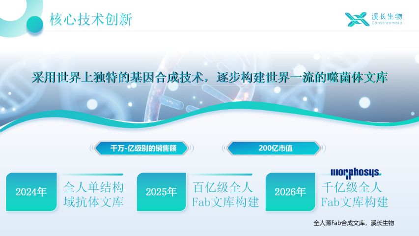安徽全人源Fab合成噬菌体文库成本