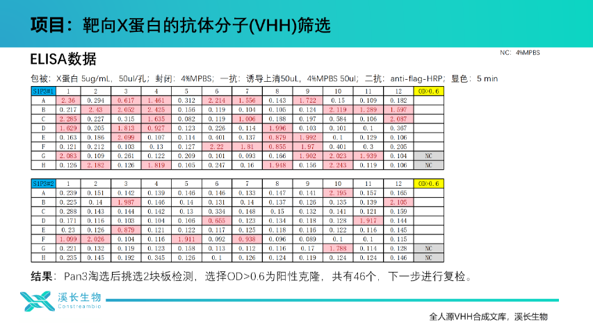 中國臺灣全人源單結構域(VHH)合成文庫開發方案,全人源單結構域(VHH)合成文庫