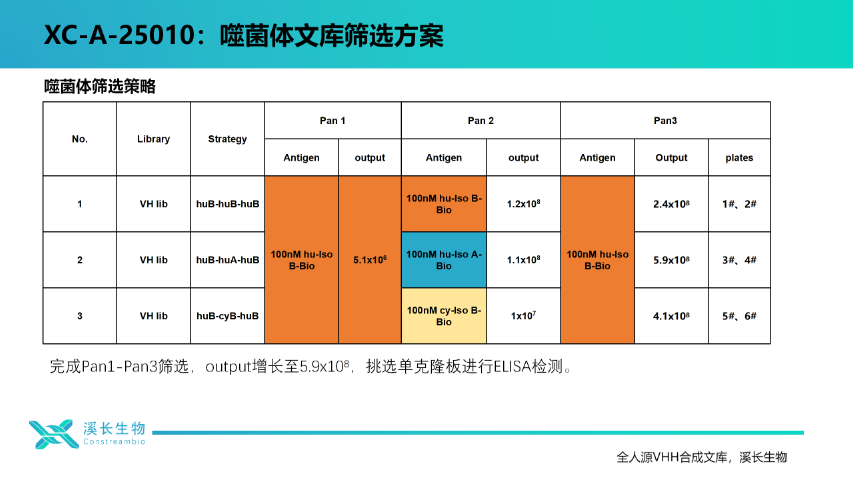 上海溪長生物全人源單結(jié)構(gòu)域(VHH)合成文庫案例 上海溪長生物技術(shù)供應(yīng)