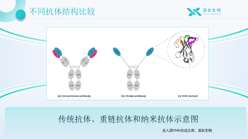陜西VHH合成文庫方案,VHH合成文庫