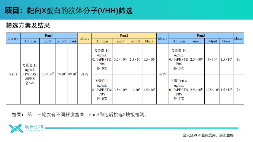上海VHH合成文库服务平台 上海溪长生物技术供应