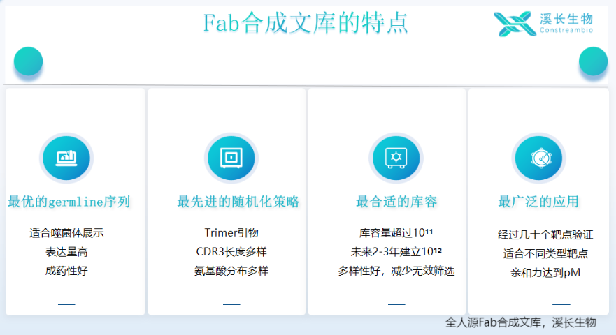 重慶合成噬菌體文庫(kù)技術(shù)分享,合成噬菌體文庫(kù)