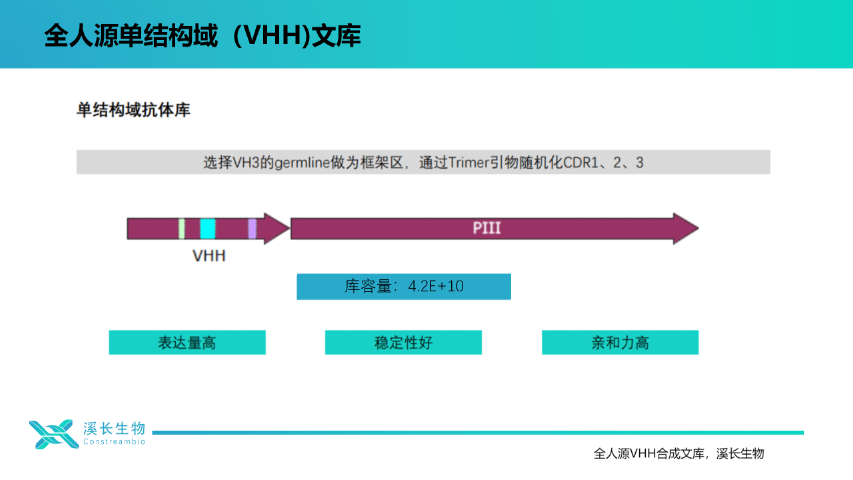 中國臺(tái)灣全人源單結(jié)構(gòu)域(VHH)合成文庫開發(fā)方案