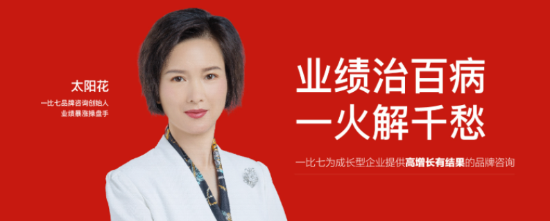 浙江一比七咨詢