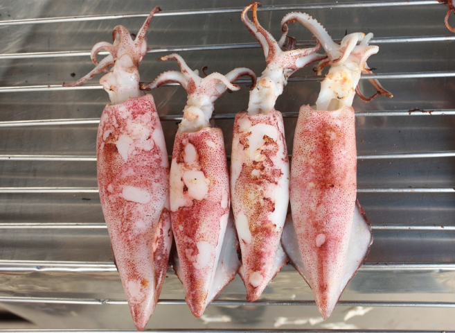 無錫禽蛋類農(nóng)產(chǎn)品配送什么價格 上海勇滬農(nóng)產(chǎn)品配送供應(yīng)