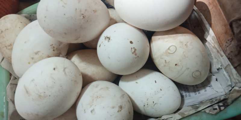 無錫肉類農(nóng)產(chǎn)品配送什么價格 上海勇滬農(nóng)產(chǎn)品配送供應(yīng);