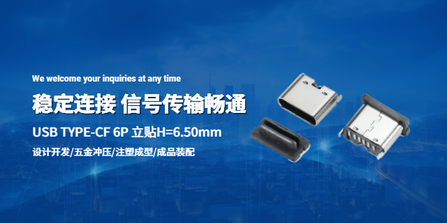 广西精密Type-C母座厂家直销 深圳市龙强精密工业供应