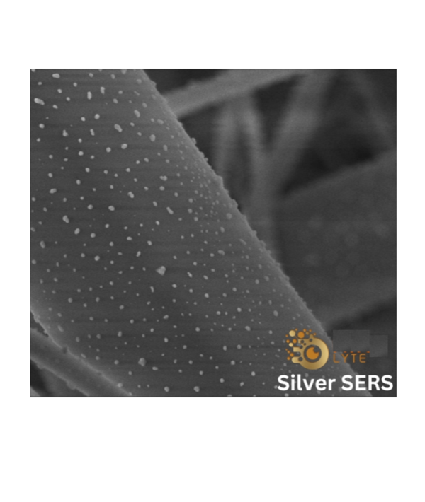表面增强拉曼光谱（SERS）基片