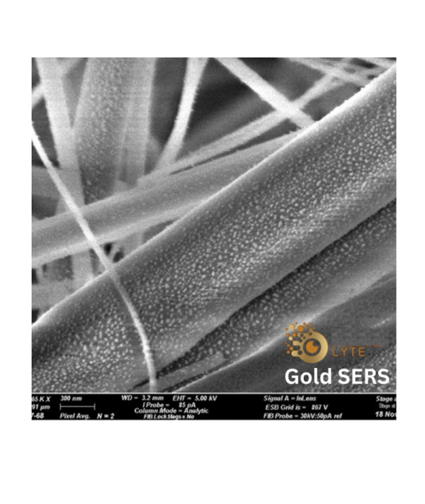 表面增强拉曼光谱（SERS）基片