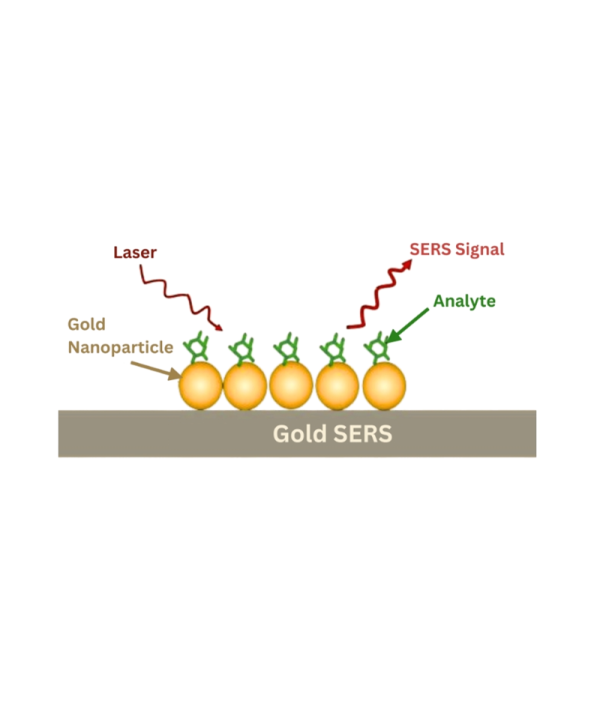 表面增强拉曼光谱（SERS）基片