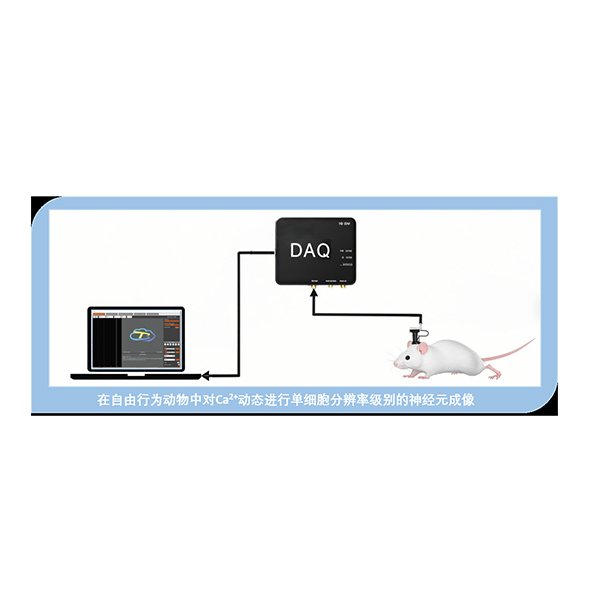 超微型&顯微成像係統(CaSight-CT1)