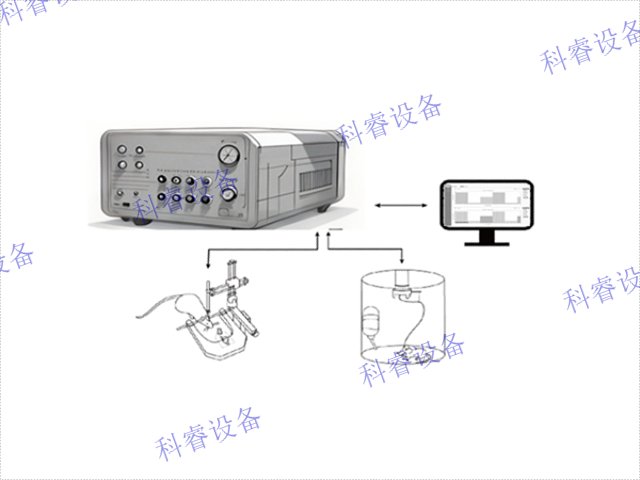 神经元钙离子动态观测系统服务