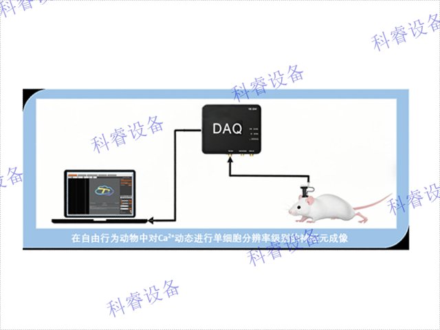 啮齿类动物脑区观测系统销售