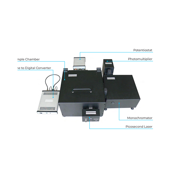 熒光分光光度計（單光子計數）