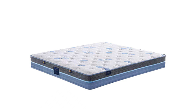 佛山高科技定制床墊工廠 廣東尚馳智能供應