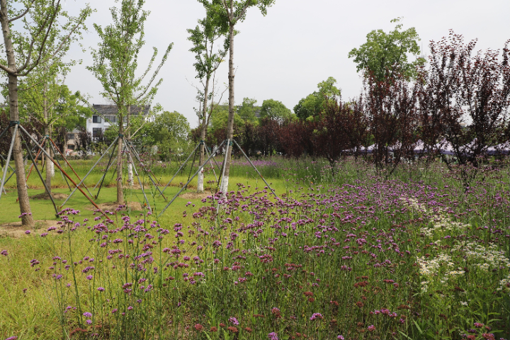 公園綠化園林綠化建設(shè) 江蘇昊生活云服務(wù)供應(yīng)