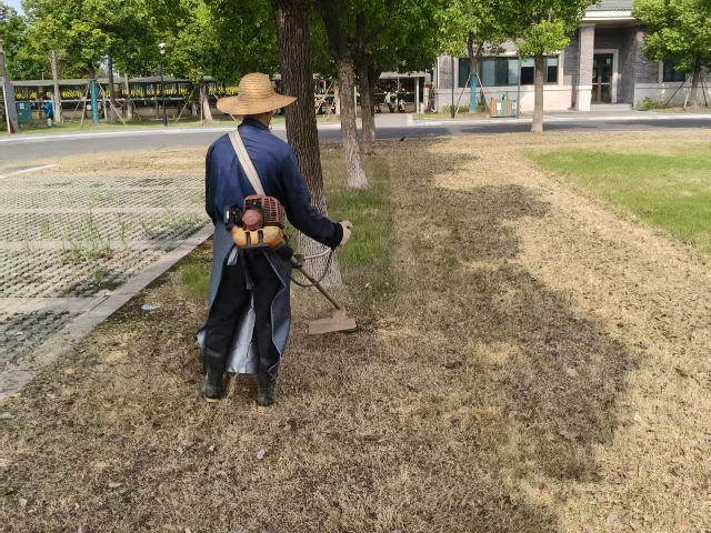 高新区室内园林绿化养护 江苏昊生活云服务供应