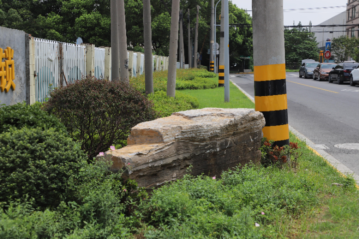 吳江區(qū)學(xué)校校園園林綠化園林公司,園林綠化