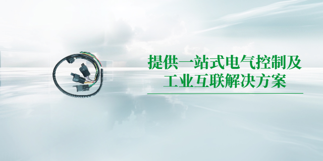 武漢儀器儀表線束定制化交付 卓美成工業(yè)技術(shù)供應(yīng)