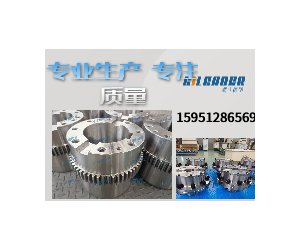 柱銷(xiāo)聯(lián)軸器生產(chǎn)廠家