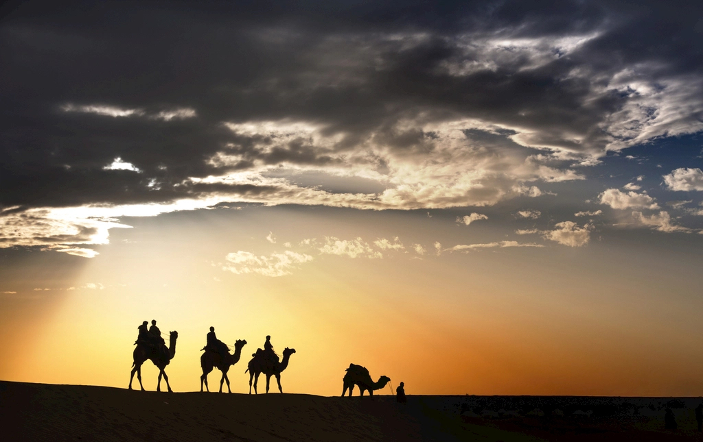 價(jià)比黃金？揭開駱駝奶“奢侈品”身份背后的真相