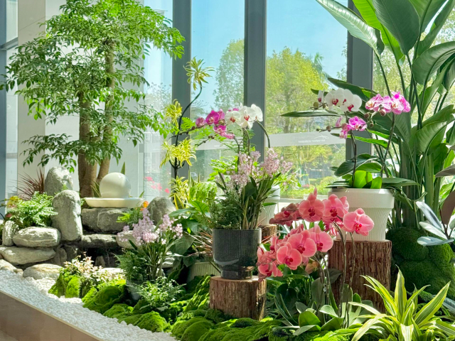 上海植物租賃短期合作 廣州麗芳園林生態(tài)科技股份供應;