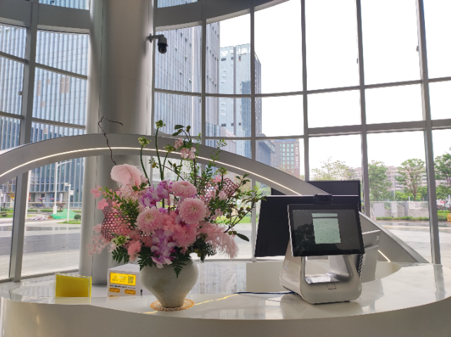 深圳市政綠植租賃
