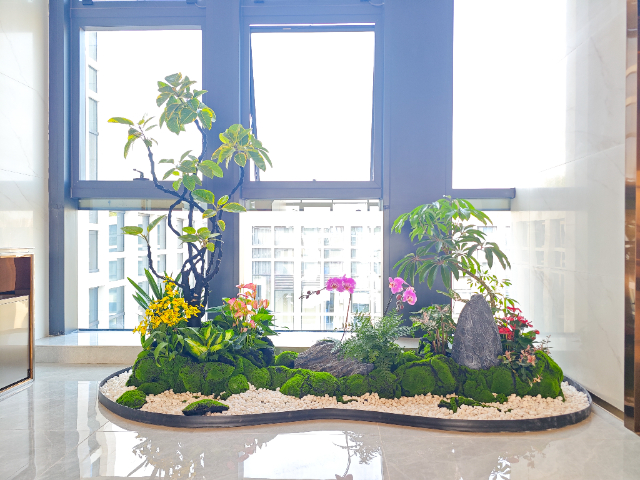 深圳市政綠植租賃,綠植