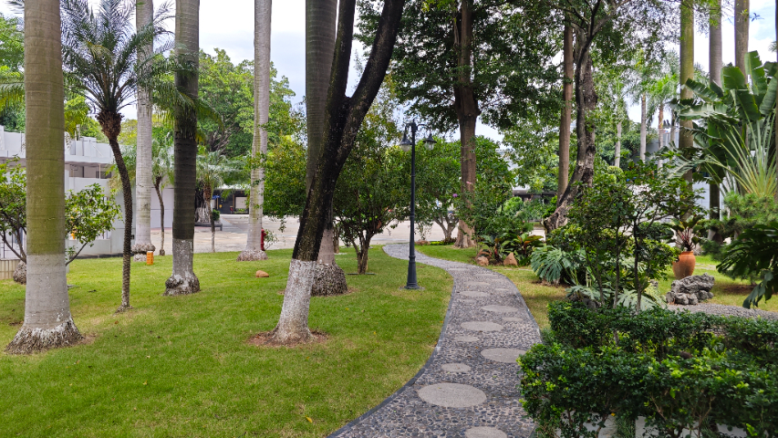 湖南庭院養(yǎng)護哪家好,養(yǎng)護