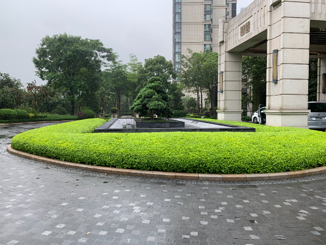 清遠花園養(yǎng)護