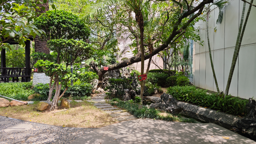 長沙景觀養護哪家好,養護