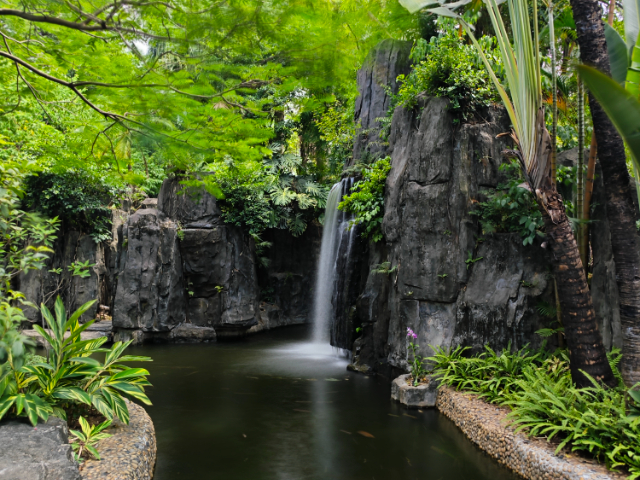 上海綠植養護