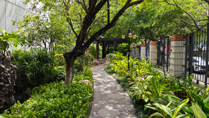 湖南綠籬養護服務商 廣州麗芳園林生態科技股份供應