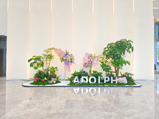 開業綠植出租,綠植