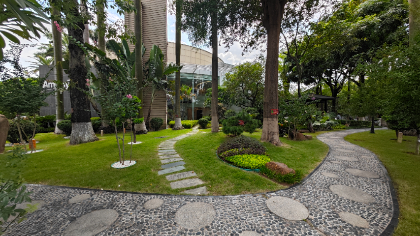 上海景區(qū)綠化養(yǎng)護(hù) 廣州麗芳園林生態(tài)科技股份供應(yīng)