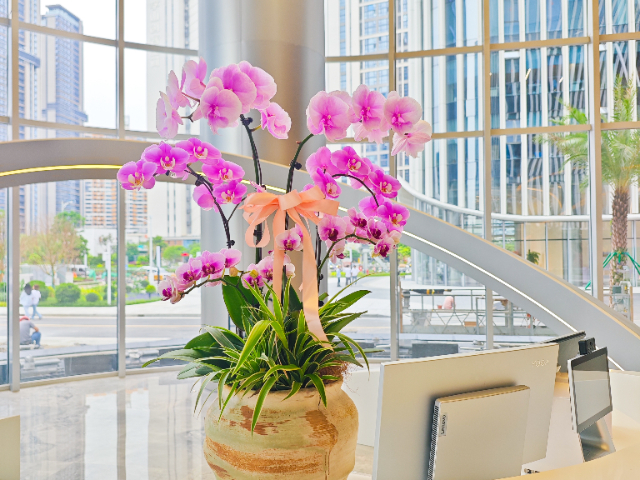 湖北綠植設(shè)計(jì)