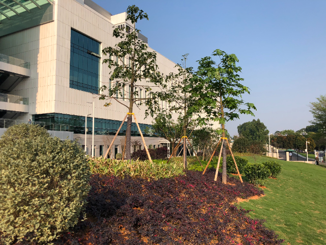 湖北公園景觀(guān)工程服務(wù)商 廣州麗芳園林生態(tài)科技股份供應(yīng)